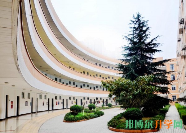中考分數低的出路