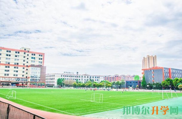 中考分數不夠學什么專業好