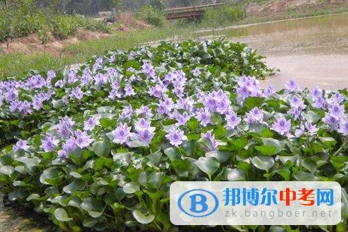 四川師范大學(xué)附屬實(shí)驗(yàn)學(xué)校教授帶你走進(jìn)奇妙的生物世界 