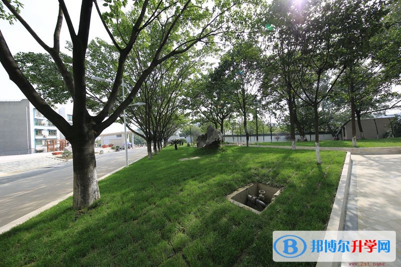 綿陽市實驗高級中學招生辦聯系電話