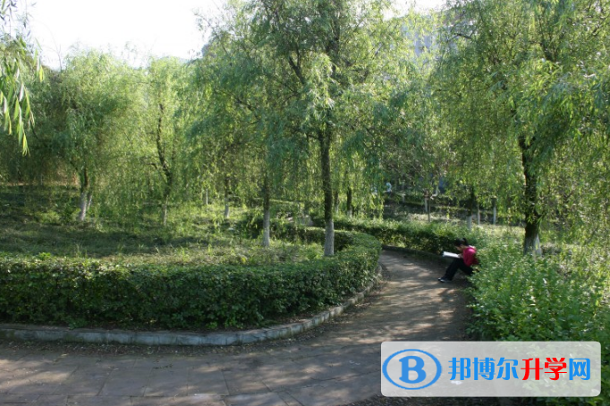 宜賓縣第二中學校地址在哪里