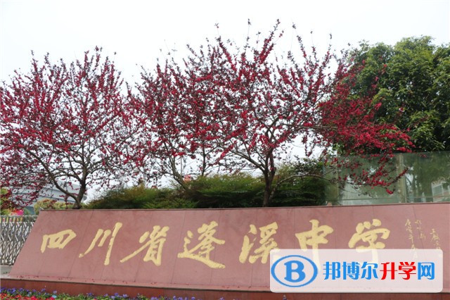 四川省蓬溪中學怎么樣、好嗎