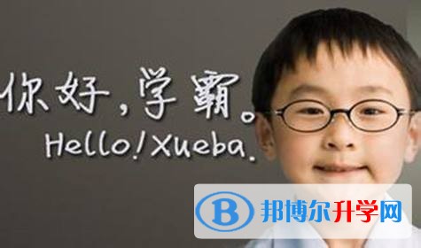 怎樣從網上查詢中考成績