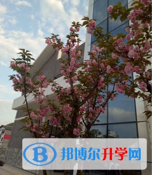 遵義市第十四中學招生代碼