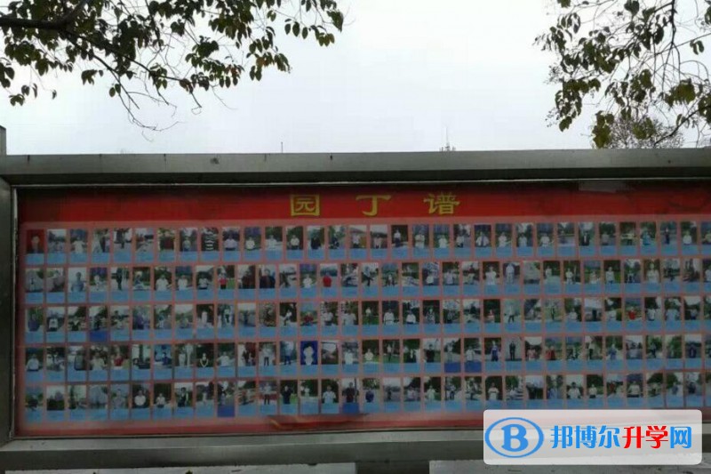 貴州省遵義縣高坪中學招生代碼