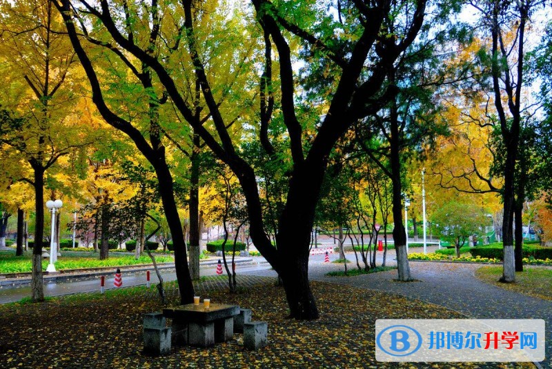 畢節(jié)市實(shí)驗(yàn)高級(jí)中學(xué)學(xué)費(fèi)