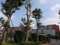貴州省畢節梁才學校2023年招生錄取分數線