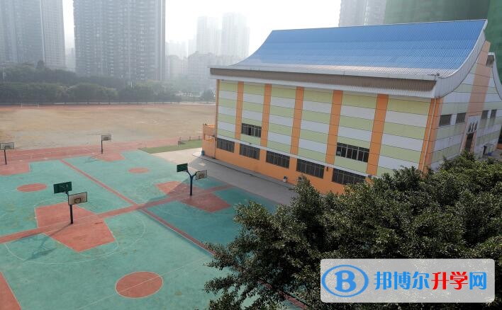 重慶市南坪中學(xué)校招生代碼
