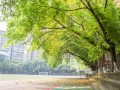 重慶市第八中學(xué)校2025年招生辦聯(lián)系電話