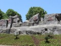重慶南川市第三中學(xué)2025年招生代碼