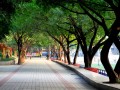重慶市楊家坪中學2023年招生錄取分數線