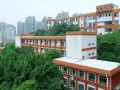 四川外語學院附屬外國語學校2023年招生錄取分數線