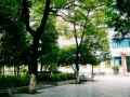 秀山民族中學2023年招生錄取分數線