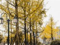 宜賓天立國際學(xué)校2022年學(xué)費(fèi)、收費(fèi)多少