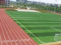 昆明世青國際學校2022年學費、收費多少