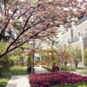 上海建平中學國際課程教學中心