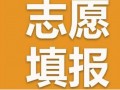 貴陽中考志愿填報網址