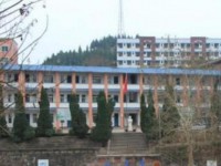 嘉陵區七寶寺鎮七寶寺中學2023年招生錄取分數線
