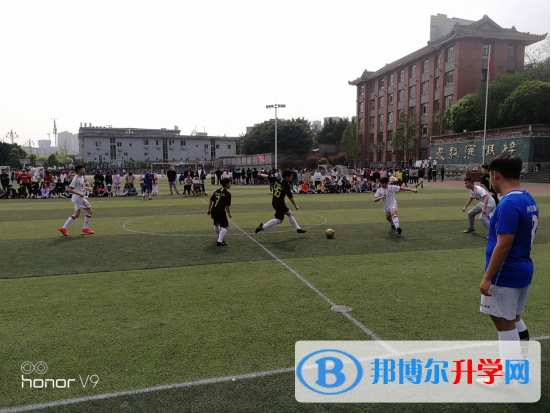 球場聚英豪，綠茵顯英姿