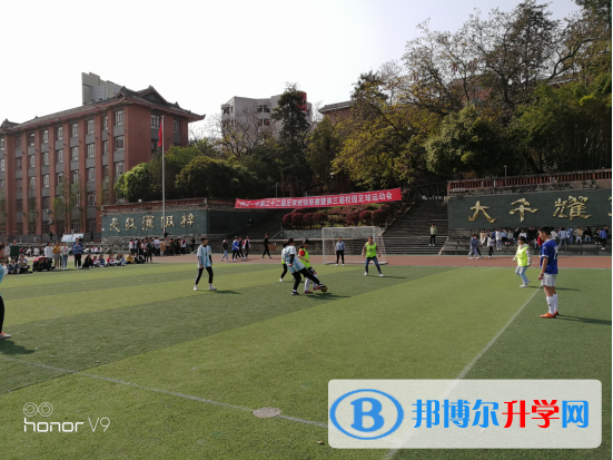 球場聚英豪，綠茵顯英姿