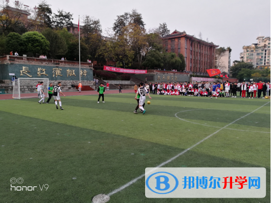 球場聚英豪，綠茵顯英姿
