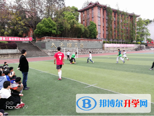球場聚英豪，綠茵顯英姿