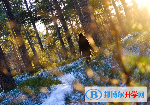 昆明今年中考時(shí)間是幾號(hào)