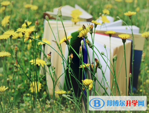 西安查詢中考成績上哪個網站