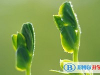西安中考成績公布時(shí)間