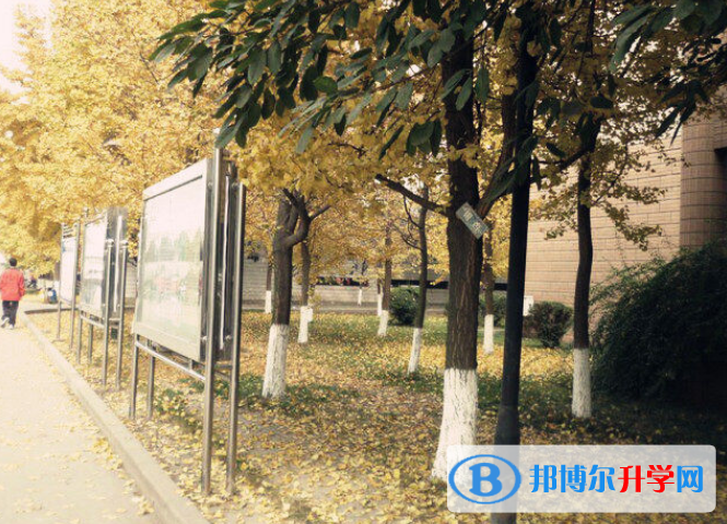 成都大彎中學(xué)2022年報(bào)名條件、招生要求、招生對(duì)象