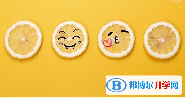 2020年巴中中考報名網站登錄
