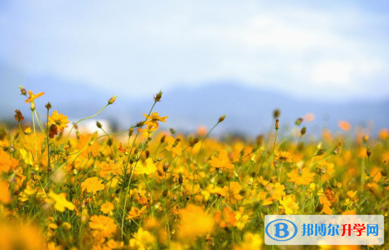 2020年巴中中考網(wǎng)絡(luò)應(yīng)用服務(wù)平臺(tái)登錄