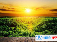 2020年巴中中考網(wǎng)絡(luò)服務(wù)應(yīng)用平臺