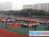 內(nèi)江第九中學(xué)2025年招生簡章