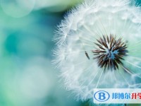 2020年達州中考重點線預(yù)測