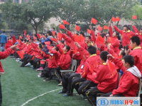 青白江姚渡中學(xué)地址在哪里