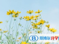 2020年達州中考報名服務(wù)平臺
