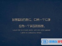 2020年達州中考網(wǎng)絡服務平臺