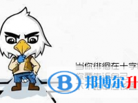 2020年達州中考網絡應用服務平臺