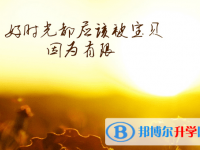 2020年內(nèi)江中考成績什么時候出來