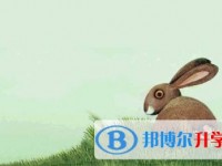 2020年內江中考時間