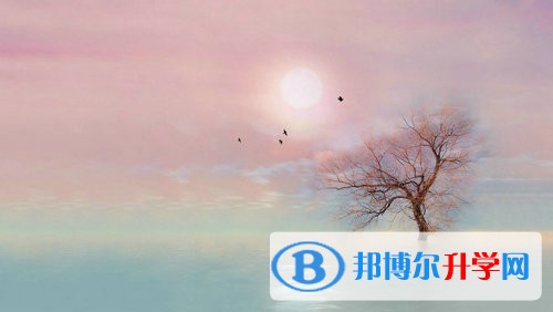 2020年內江中考自主招生是什么意思
