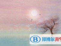 2020年內江中考自主招生是什么意思