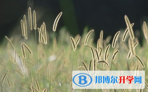 2020年內江中考怎么飲食
