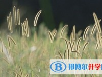 2020年內江中考怎么飲食