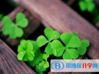 2020年內江中考是多久