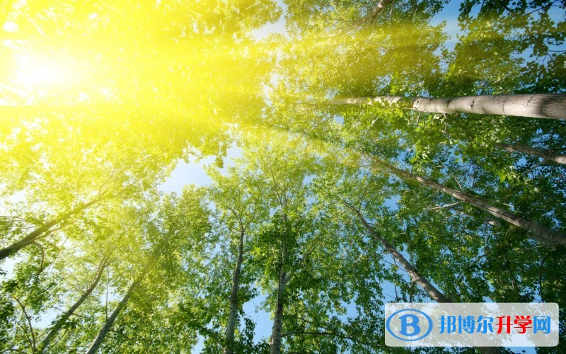 2020年內江中考后可以上什么學校
