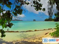 2020年內(nèi)江中考報(bào)名自薦信怎么寫(xiě)