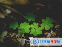 2020年內江怎么寫中考自薦書