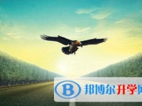 2020年內江中考報名是哪個網站